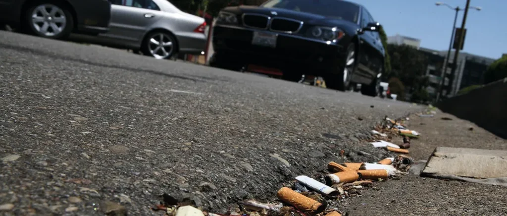 The Environmental Impact of Cigarette Butts