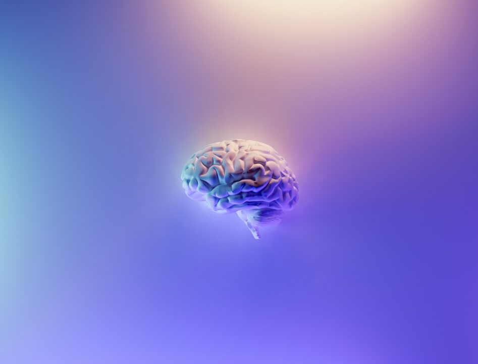 CBD and the human brain