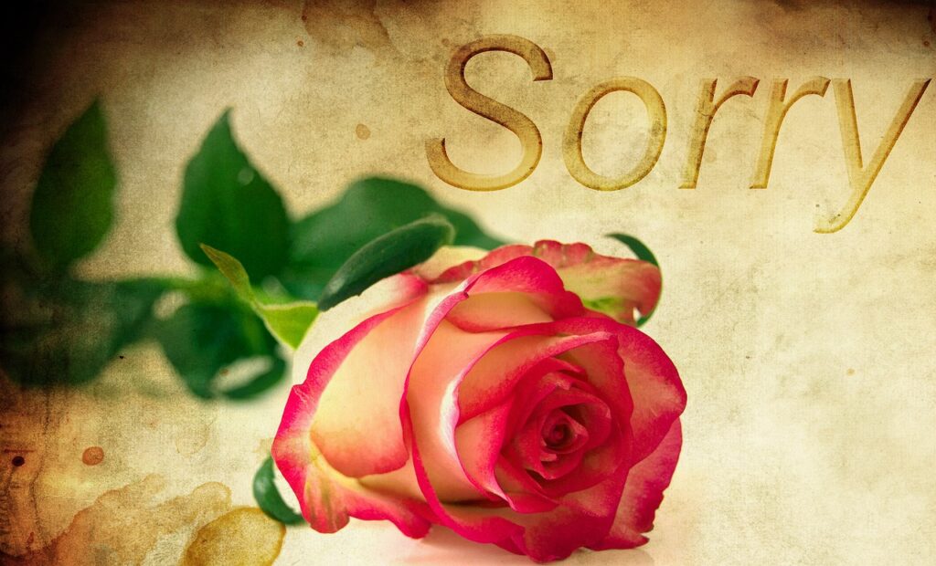 Apology-Flowers-for-Wife