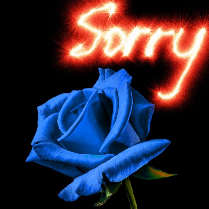 Apology-Flowers-for-Wife