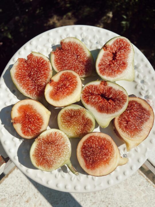 Fruits-that-have-seeds