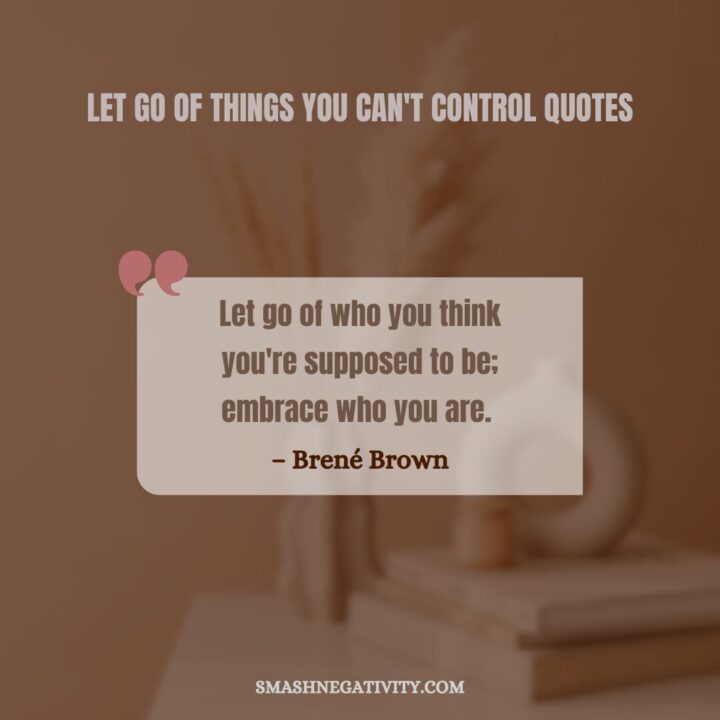 Let-Go-Of-Things-You Can't-Control-Quotes-1